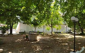 Avli Studios